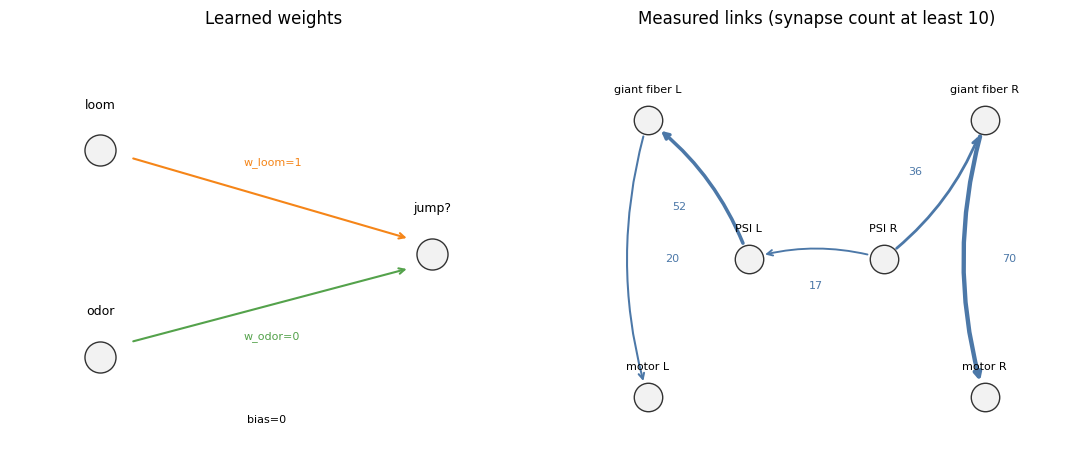<Figure size 1100x480 with 2 Axes>
