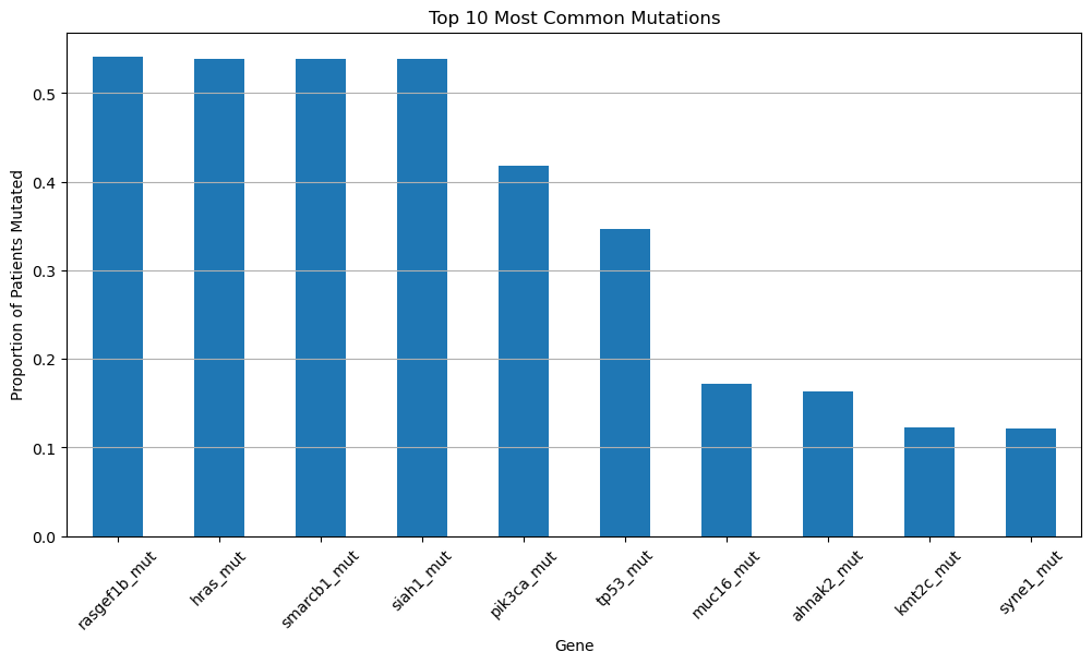 <Figure size 1200x600 with 1 Axes>