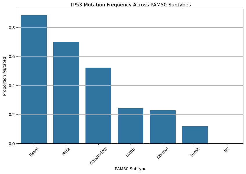 <Figure size 1000x600 with 1 Axes>